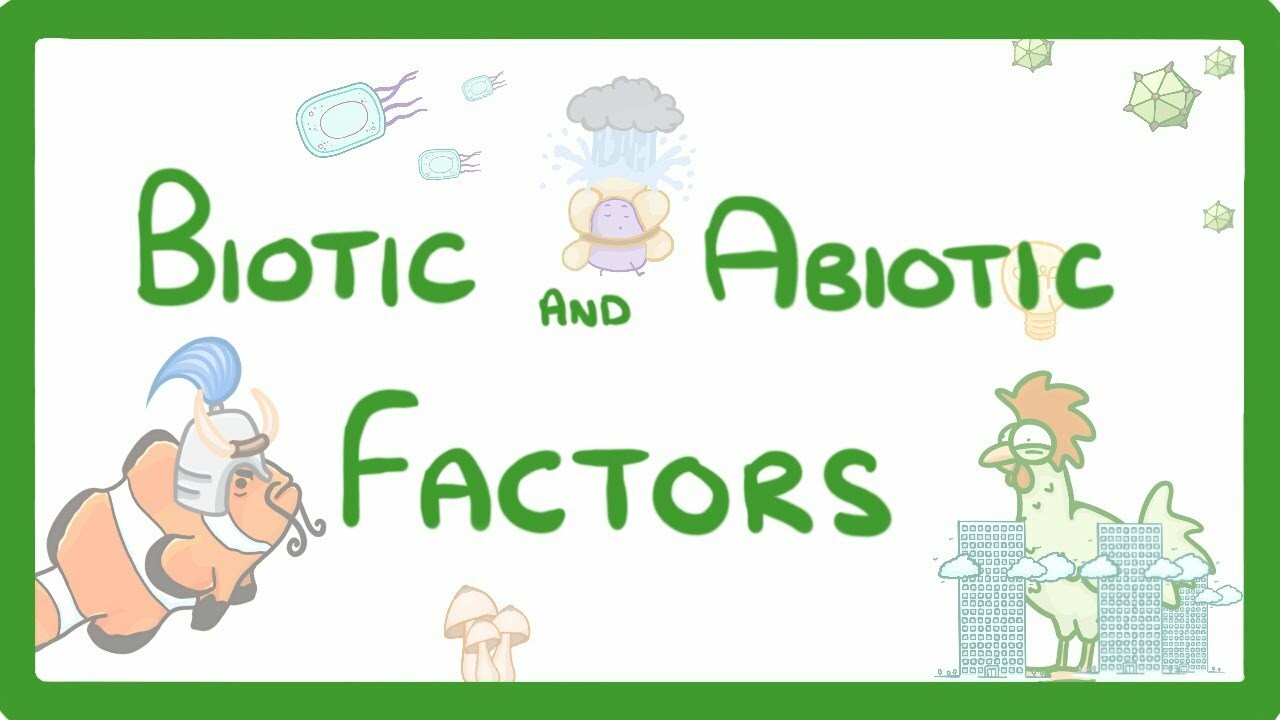 GCSE Biology - Biotic and Abiotic Factors #83